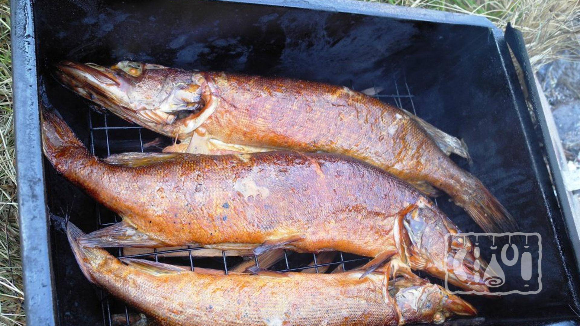 Холодное копчение рыбы: пошаговые рецепты с фото для легкого приготовления
