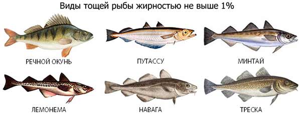 Какая рыба при поджелудочной. Сорта рыбы. Нежирные сорта рыбы. Постные сорта рыбы. Сорта рыб нежирных сортов.