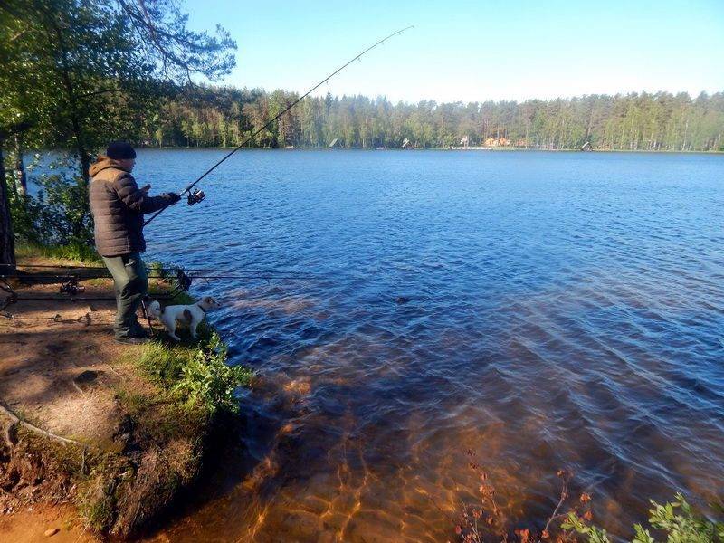 Рыбалка в новгородской области и великом новгороде - fishingwiki
