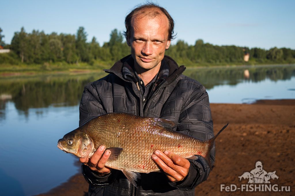 Fed fishing. Озёрная рыба Новгородской области. Рыбалка на Мсте. Река Мста рыбалка. Рыбалка в Новгородской области.