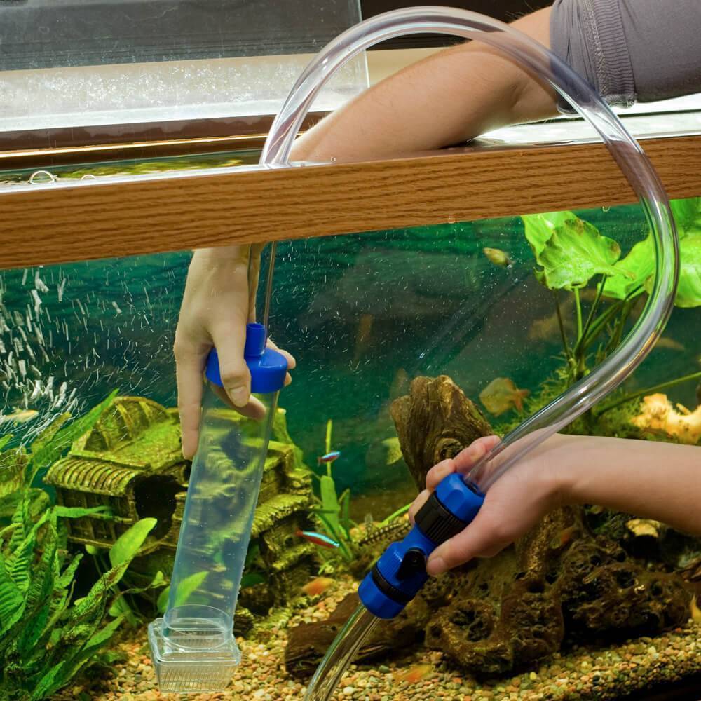 Чистка аквариума с рыбками в домашних условиях: почистить большой и маленький резервуар, средства для мытья