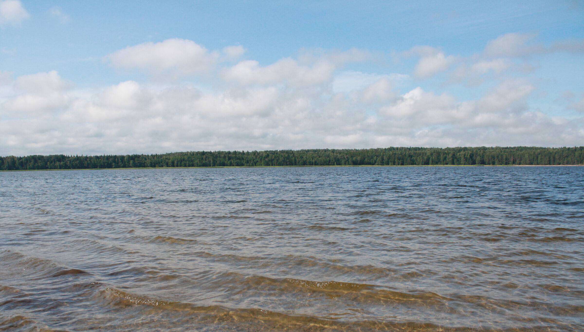 Где искупаться: озёра и пляжи в ленинградской области