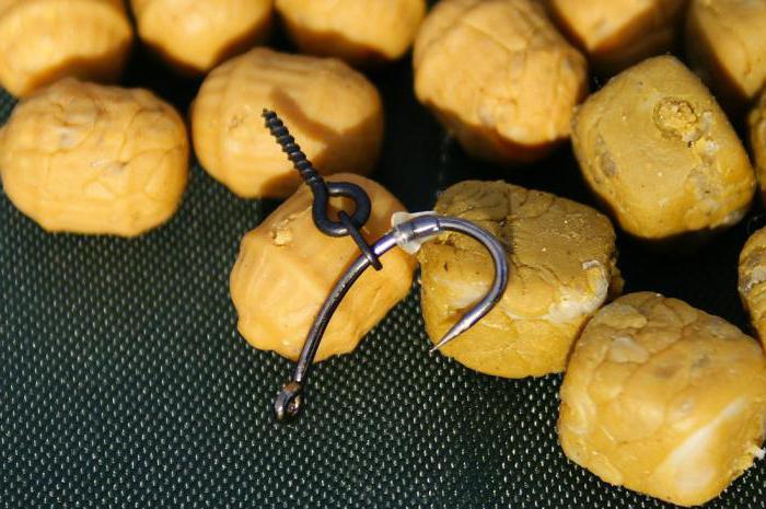 Ловля карпа на картошку: как сварить приманку для рыбалки и насаживать на крючок