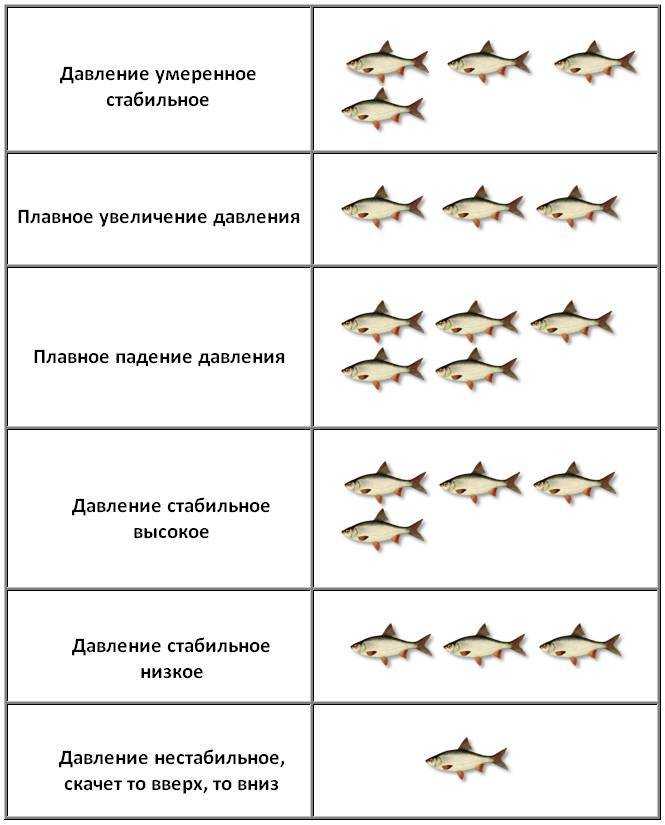 Народные приметы про давление и клев рыбы